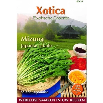 Afbeelding van Buzzy Xotica Mizuna Japanse Salade Exotische zaden 10 g
