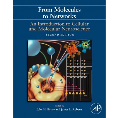 Afbeelding van From Molecules To Networks