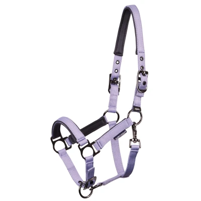 Image de Harry&#039;s Horse Licol Pepper Persain violetVendu par Agradi