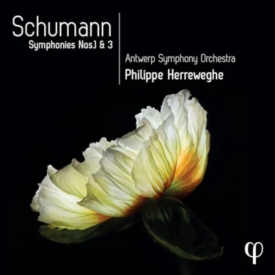 Afbeelding van Antwerp Symphony Orchestra, Philippe Herreweghe Schumann: Symphonies Nos. 1 &amp; 3 (CD)