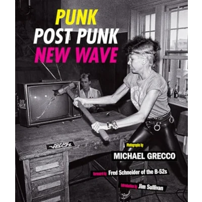 Afbeelding van Punk, Post New Wave