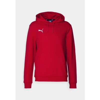 Afbeelding van PUMA Teamgoal Casuals capuchontrui voor heren