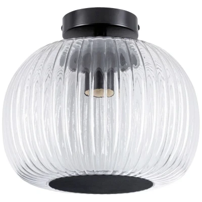 Afbeelding van Paulmann 71146 Ruya Plafondlamp E27 Glas, Zwart (mat)