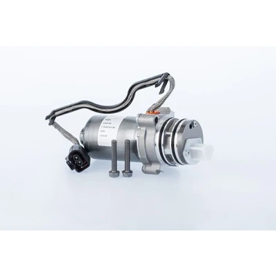 Afbeelding van Pomp, lamellenkoppeling 4 wielaandrijving BorgWarner (AWD) DS2010678