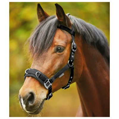 Afbeelding van Waldhausen Longeerhalster Economisch Pony Zwart