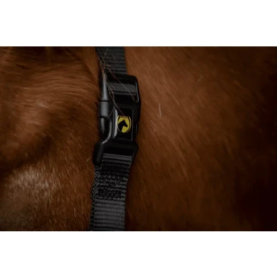 Afbeelding van Excellent Horse Premium Halster XS Mini Foal Zwart