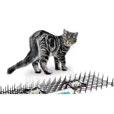 Afbeelding van Gardigo Dierenverjager barrière 6 pack