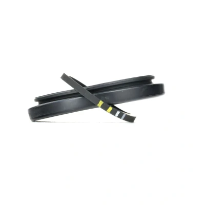 Afbeelding van Trw Remzadel/remklauw rep.set SJ1294
