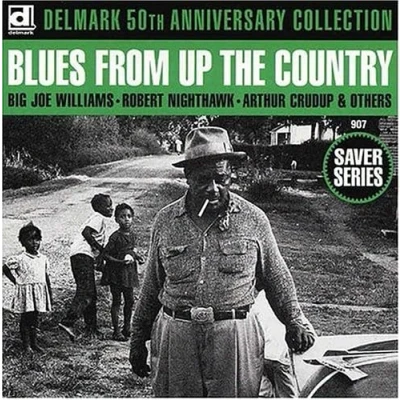Afbeelding van Various Artists Blues From Up The Country (CD)