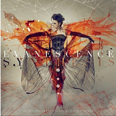 Afbeelding van Synthesis (CD+DVD) (Limited Edition)