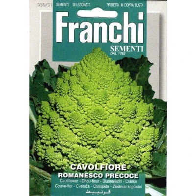 Afbeelding van Romanesco, Cavolfiore Romanesco Precoce 30/51 Franchi