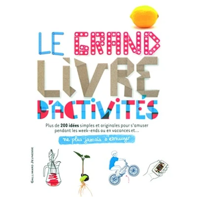 Afbeelding van Le grand livre des activites