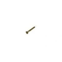 Afbeelding van Silerswaar Houtschroef Mess.lk 2,5 X 12 Mm(6)