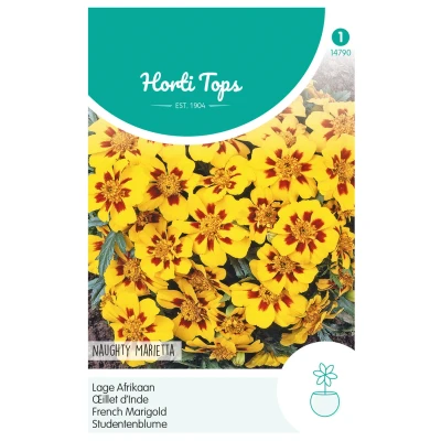 Afbeelding van Tagetes patula nana Naughty Marietta Buzzy