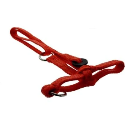 Afbeelding van Halster koe nylon oranje