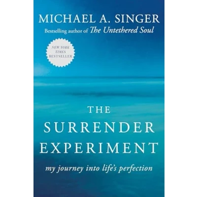 Afbeelding van Surrender Experiment