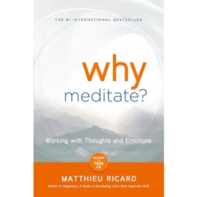 Afbeelding van Why Meditate