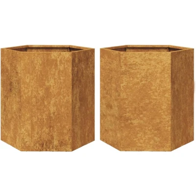 Afbeelding van vidaXL Plantenbakken 2 st zeshoek 46x40x45 cm cortenstaal
