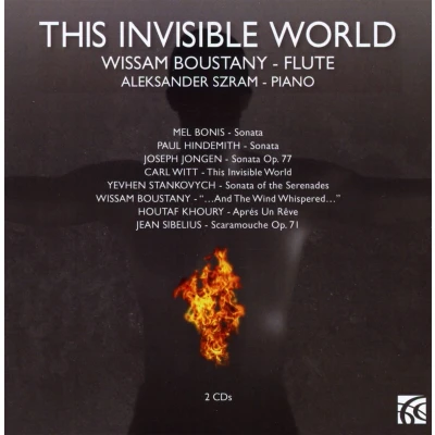 Afbeelding van Szram Boustany This Invisible World (2 CD)