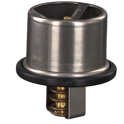 Afbeelding van Febi Bilstein Thermostaat 22545