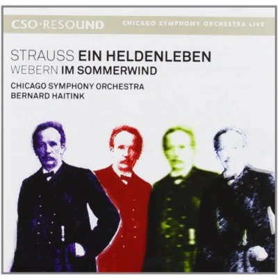 Afbeelding van Chicago Symphony Orchestra, Bernhard Haitink Strauss: Ein Heldenleben, Im Sommerwind (CD)