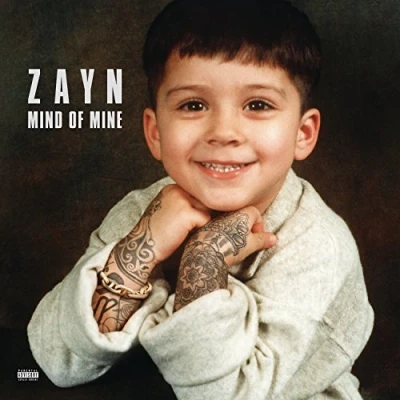 Afbeelding van Zayn Mind of Mine (Deluxe Edition) (2 LPs)