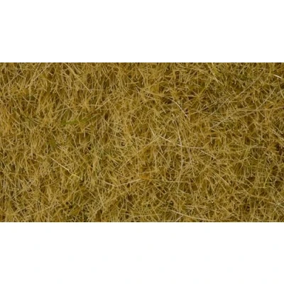 Afbeelding van NOCH 07101 Wildgras Beige