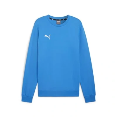 Afbeelding van PUMA Teamgoal Casuals Pull en tricot à col rond SWE pour homme
