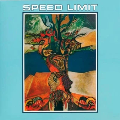 Afbeelding van Speed Limit (LP)