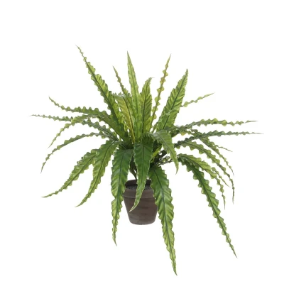 Afbeelding van Asplenium Kunstplant in Bloempot Stan H54 x Ø66 cm Groen
