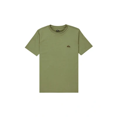 Afbeelding van Quiksilver T Shirt Manche Courtes Basic SS Tee Garçon 8 16 Ans Bleu