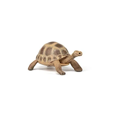 Image de Papo Tortue d&#039;Hermann