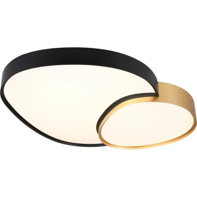 Afbeelding van TRIO RISE Plafondlamp Wit mat incl. 1x SMD 45W Geintergreerde dimmer Memory functie Lichtkleur instelbaar