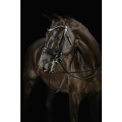 Image de Mrs. Ros Ensemble Bride Knight Power Deluxe Noir Full
