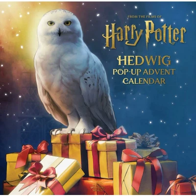 Afbeelding van Reinhart Pop Up Studio Harry Potter: Hedwig Advent Calendar