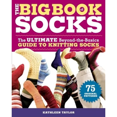 Afbeelding van The Big Book of Socks