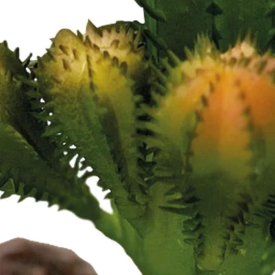 Afbeelding van Repto Plant Cactus Kunstcactus Terrarium