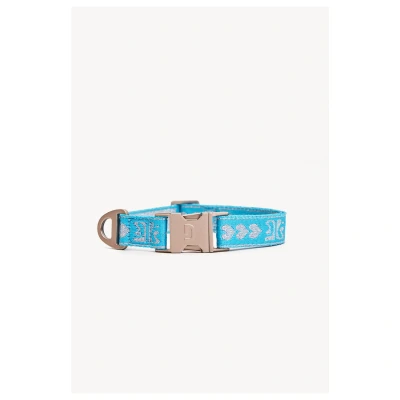 Afbeelding van Dogguo Collar Blauw&amp;Zilver Hondenhalsband S Kleine Honden
