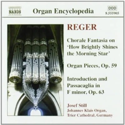 Afbeelding van Josef Still Organ Works Volume 4 (CD)