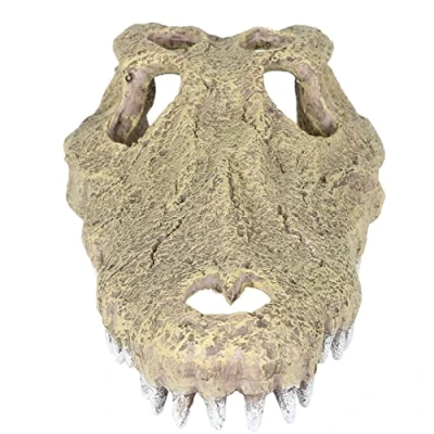 Afbeelding van Aqua Della Krokodil Schedel Aquarium Ornament 28.5x14.5x8 cm