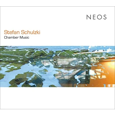 Afbeelding van Various Artists Schulzki: Chamber Music (CD)