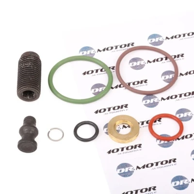 Afbeelding van Reparatieset, pomp verstuiver eenheid Dr.Motor Automotive DRM006L