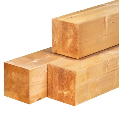 Afbeelding van Red Class Wood Paal Geschaafd 20x20x500 cm