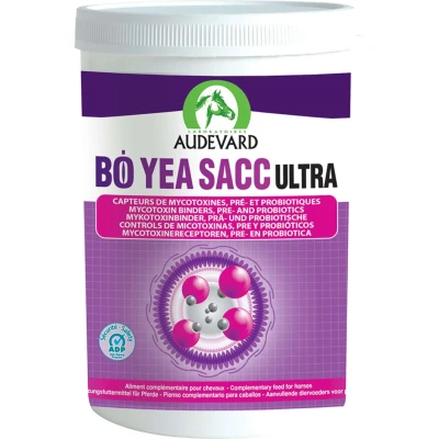 Afbeelding van BO Yea SACC Ultra AUDEVARD