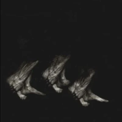 Afbeelding van Leonov Procession (LP)