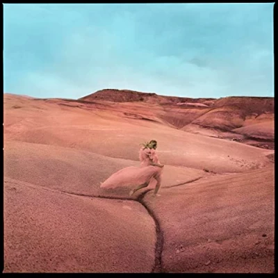 Afbeelding van Margo Price Strays (LP)