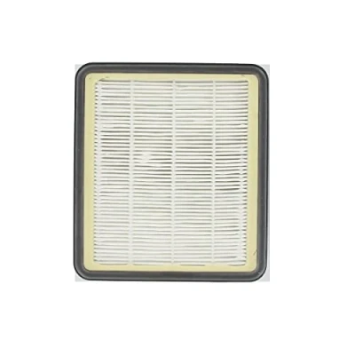Afbeelding van Hepa filter voor Hoover TopFilter stofzuiger