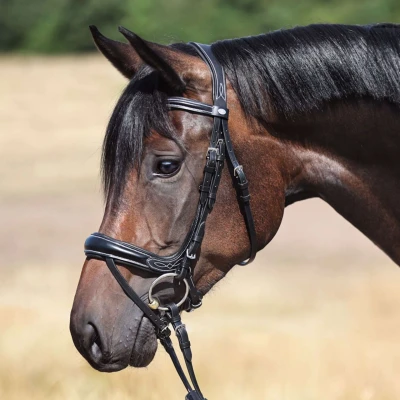 Afbeelding van Kavalkade Trenshoofdstel Ivy Ir Zwart Pony