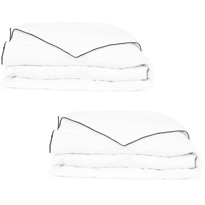 Afbeelding van Winterdekbed 155x220 cm dons 2 st