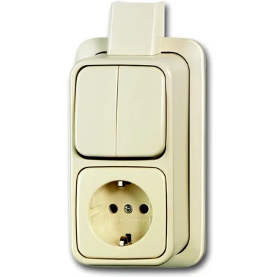 Afbeelding van Busch Jaeger AP combinatie ra serie + plaat opbouw